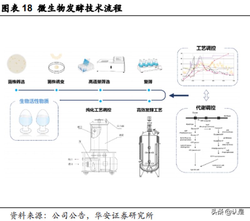 生物技术服务科是干嘛的?——东江生物告诉你