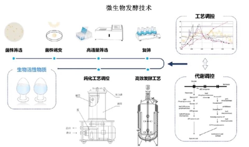 生物科技ETF：一场生命科学的资本盛宴