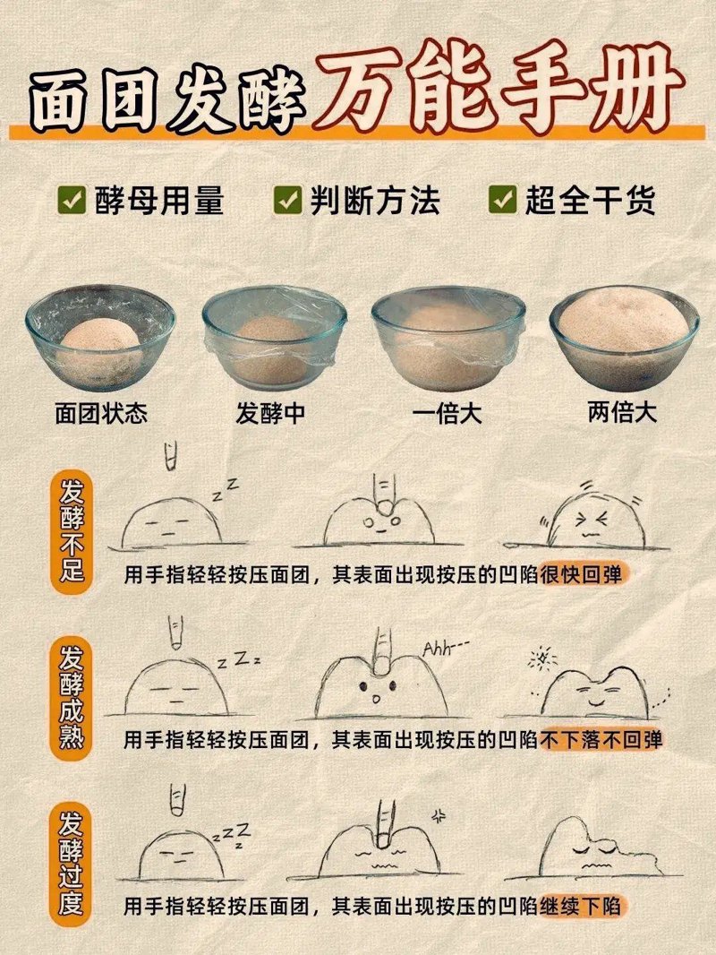 生物技术服务费税收编码，如何正确选择？
