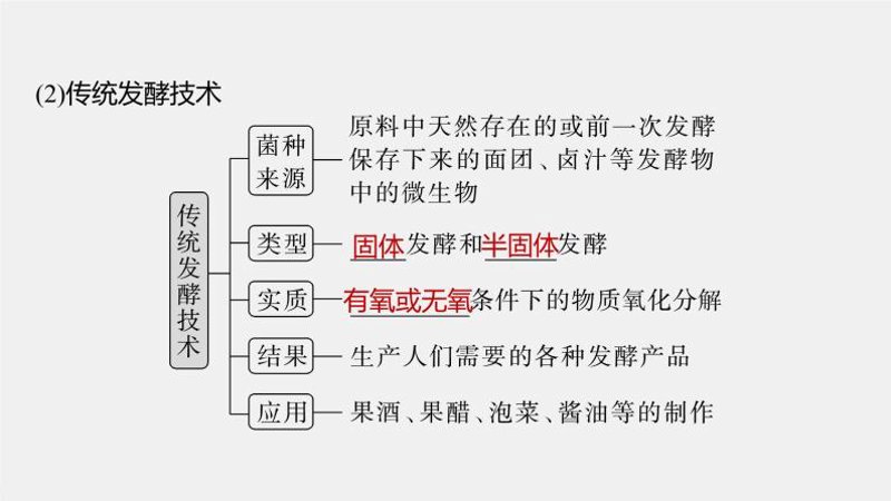 生物发酵技术：探索未来工业的绿色革命