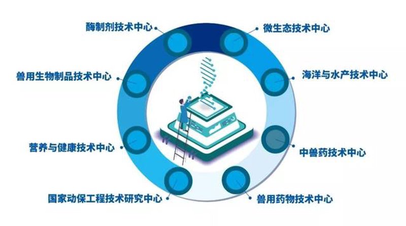 生物发酵技术知识点