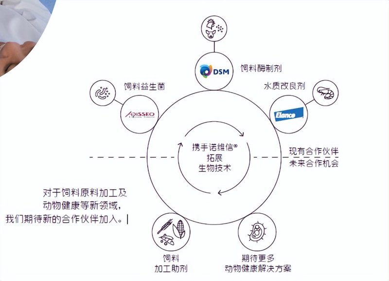 酶制剂应用方案
